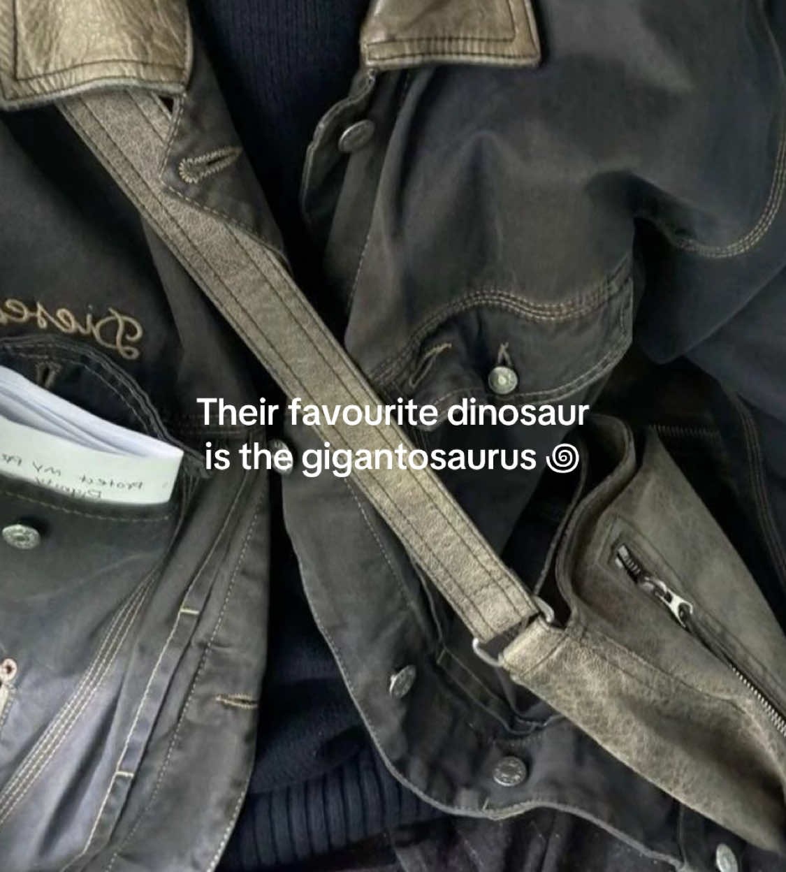 ──★ ˙ This one is so epic I rarely see people mention them! | req : @🦖🦈 #carnotauruzz #gigantosaurus #dinosaur #jurassic #aesthetic ##dinos#moodboard #alexgsummer #transmasc #jurassicpark 