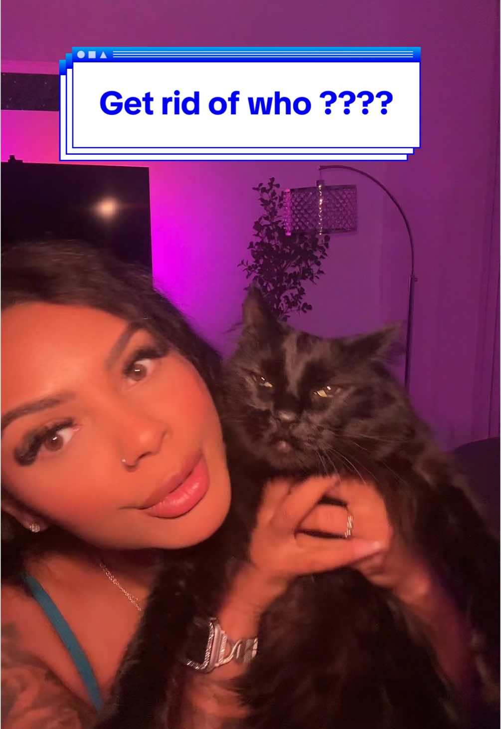 Ain’t no way!! These are my children! HELLLOOOO #catmom #mimiandmoxie #catsofinstagram 