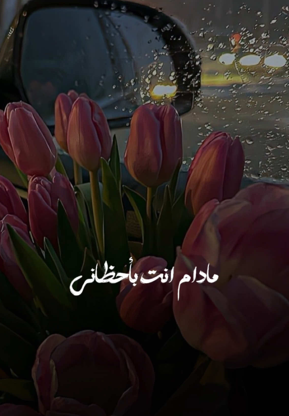 #CapCut #بغداد_العراق #اسطنبول #تركيا #تركيا🇹🇷اسطنبول #بغداد #اربيل #تصويري #تصوير #تصميمي #viral #fyp #fypシ #tik #فديوهات #تصميم_فيديوهات🎶🎤🎬 #اكسبلور #يلوا #يلوا_تركيا #يلوا🌹 #يالوفا #يالوفا❤️🇮🇶🇹🇷 #yalova #yalova77 #مالي_خلق_احط_هاشتاقات #مالي_خلق_احط_هاشتاقات🧢#توبه #توبة #احمد_ستار #احمد_ستار🇸🇾 #احمدستار 