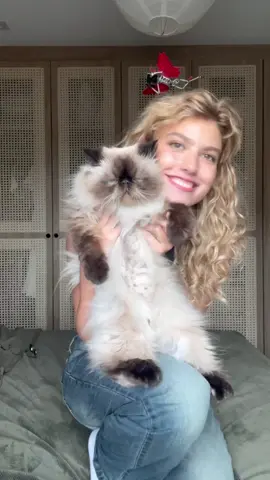 esse vídeo é só uma desculpa pra exibir o johnny mesmo