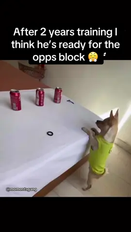 Bro is ready