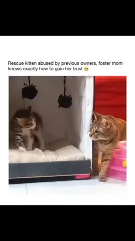 This is so wholesome 🥲