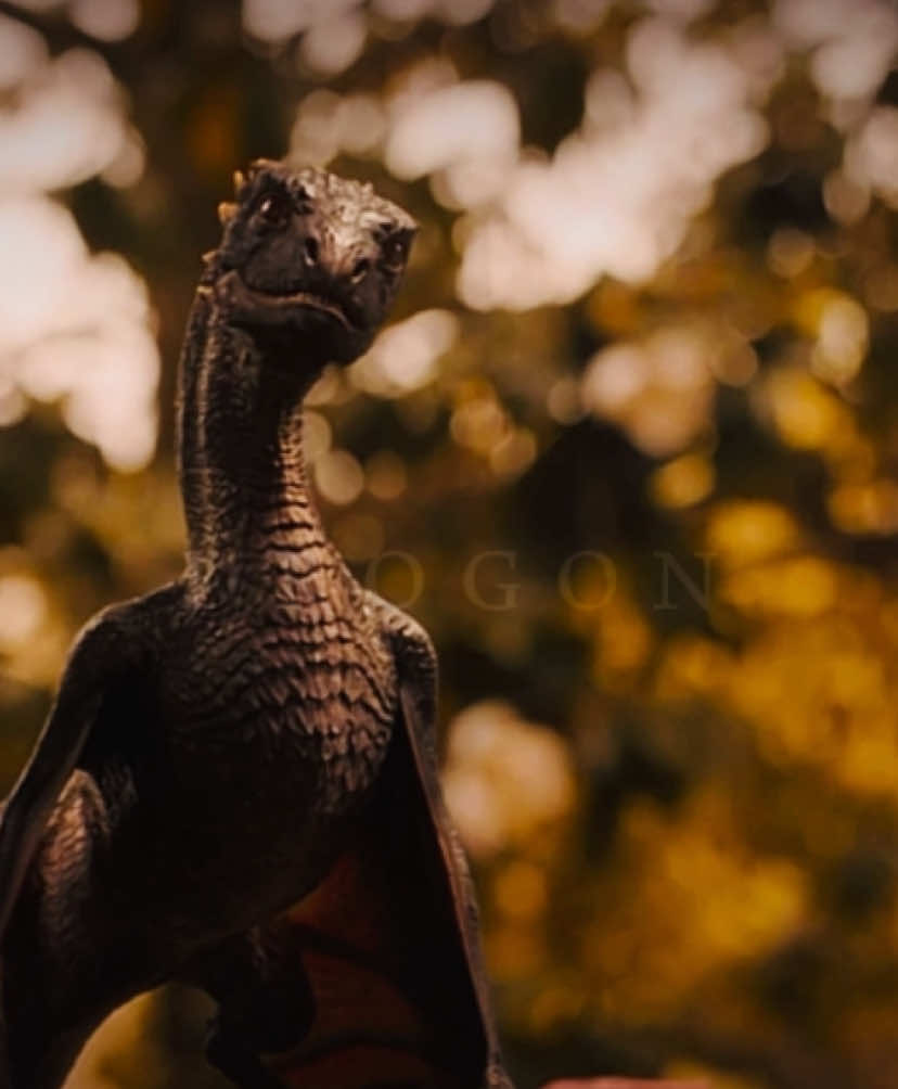 🤫 #gameofthrones #foryoupage #fypシ #tiktok #daenerystargaryen #viral #targaryen #drogon #max 