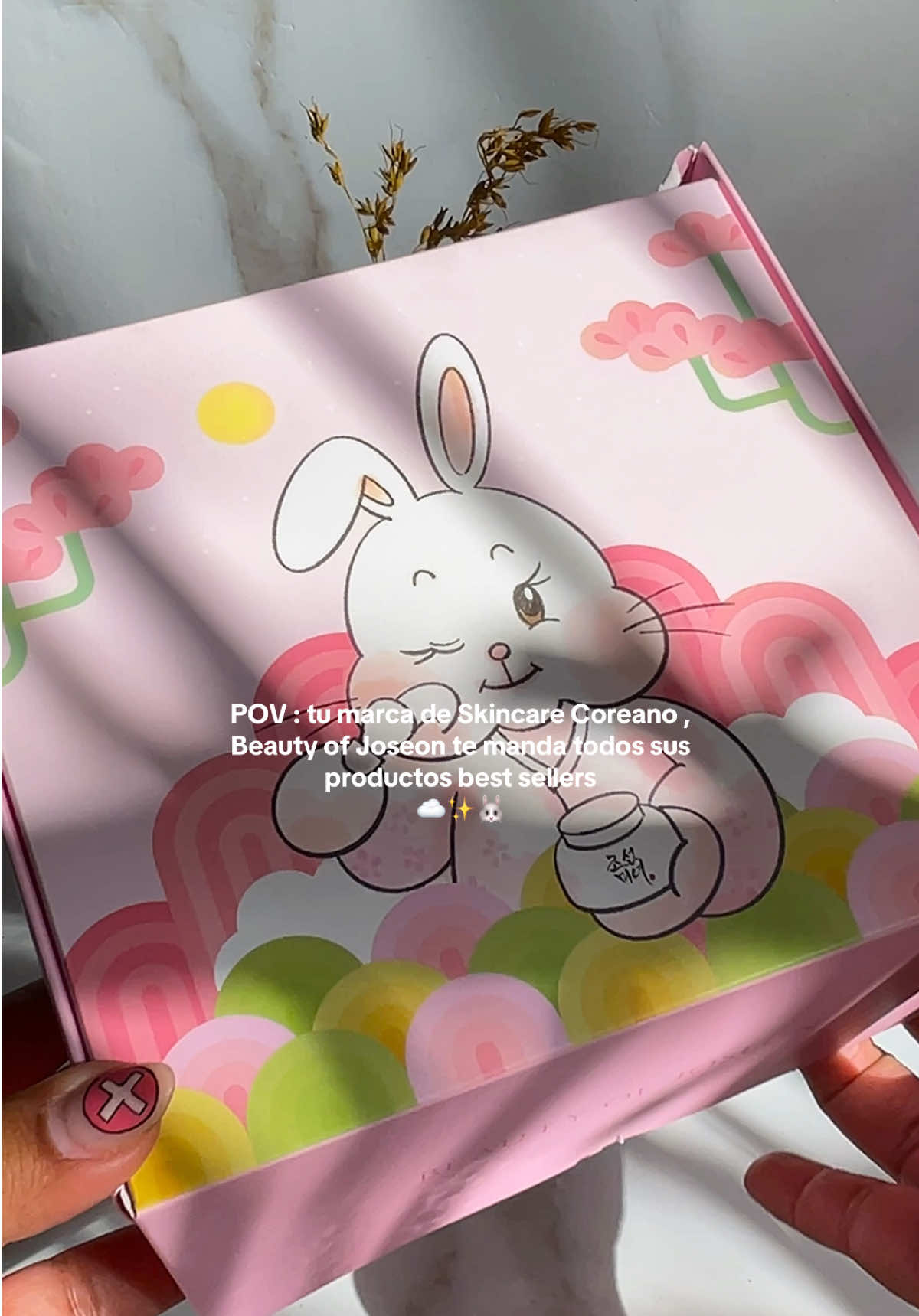 POV : tu marca de Skincare Coreano , Beauty of Joseon te manda todos sus productos best sellers ☁️✨🐰 #beautofjoseon #skincarecoreano #beautyproducts #haulskincare #girlytok #koreanbeauty #kbeauty 