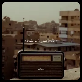 سورة الفجر للقارئ الطالب الشيخ / محمد احمد حسن #قران_كريم #راحه_نفسيه #اكتب_شي_توجر_عليه #قران #الشيخ_محمد_احمد_حسن #سورة_الفجر #quran 