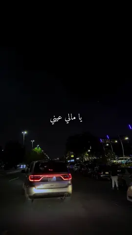 يا مالي عيني عن العالم ومغنيها.                              #ماجد_المهندس #يامالي عيني #fyp 