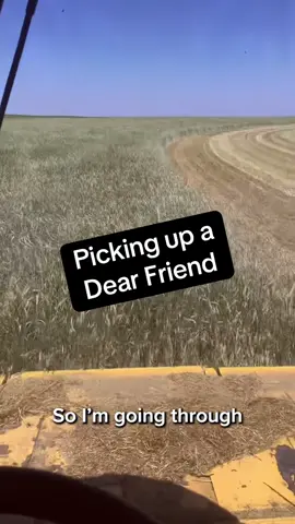 Does that technically make this a John Deere? 🦌#deer #farming #combine #rescue #friend #newfriend 🎥: @wyattgigot1