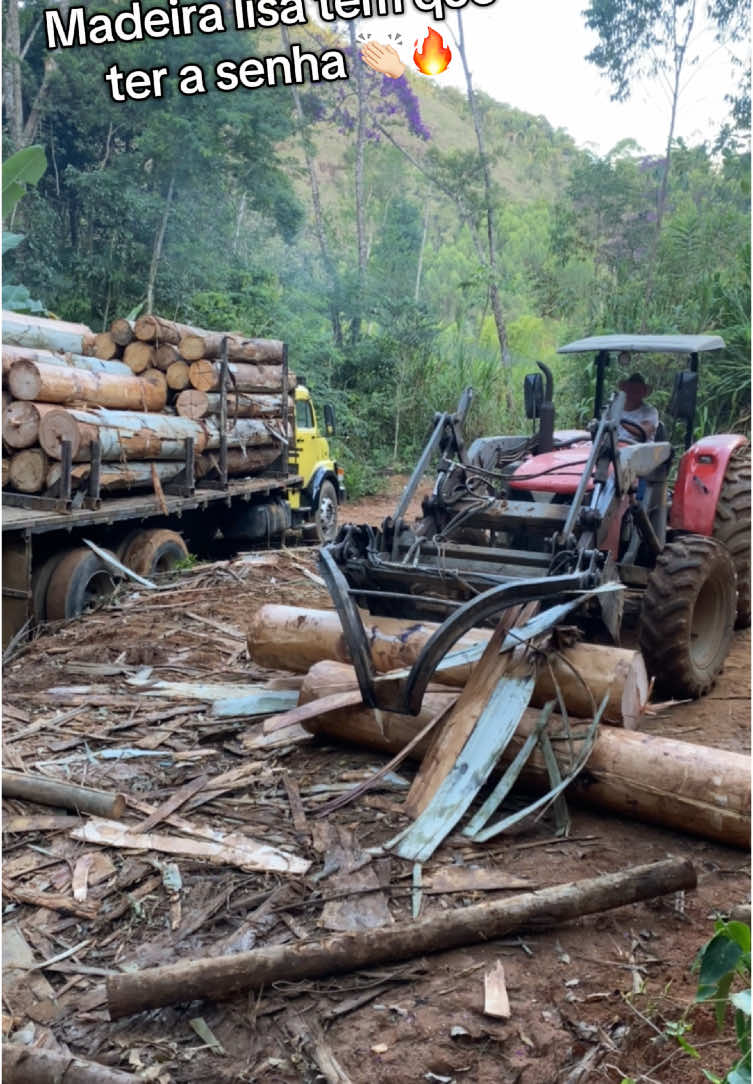 Não entra não sem a instrução kkk#mafiadamadeira #galeradamadeira #galeradosucodopicapau🌲 #massey4275 #trator #trabalho #masseyferguson 