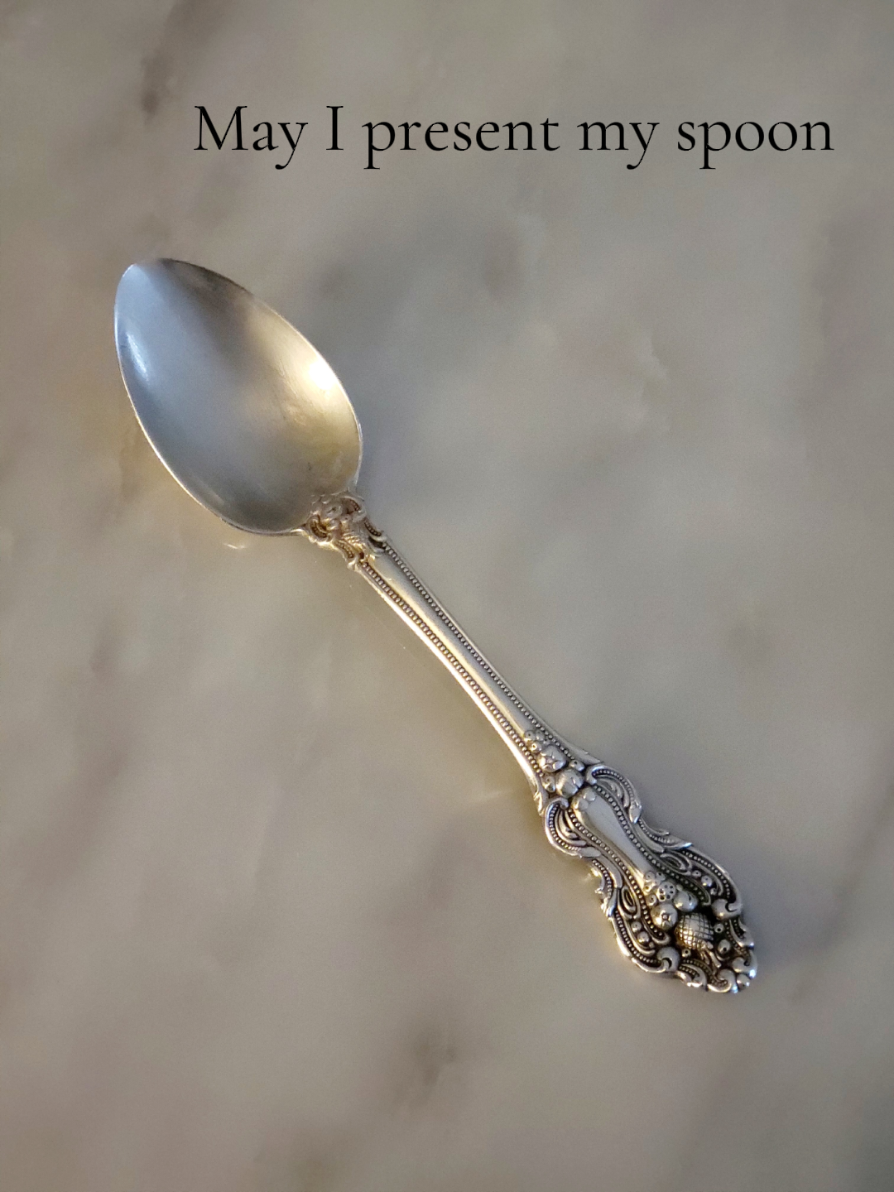 May I present my spoon to the council. #spoon #spoons #spoontok #spoonjudgement #spoonrating 