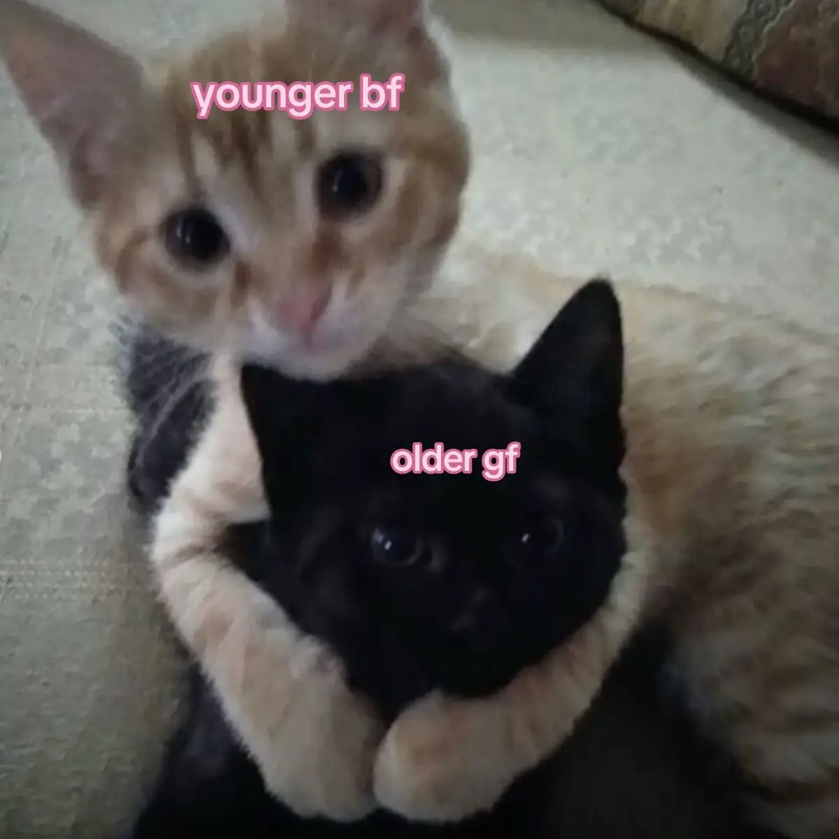 he’s 20 I’m 22 #Relationship #couple #gf #bf #oldergf #youngerbf #Love #cats #cute #relatable #boyfriend #girlfriend #us #thisisus