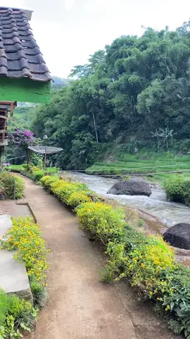 Rumah #viral pinggir sungai #jelajahciwidey #fyp #fypシ゚ #cipelah 