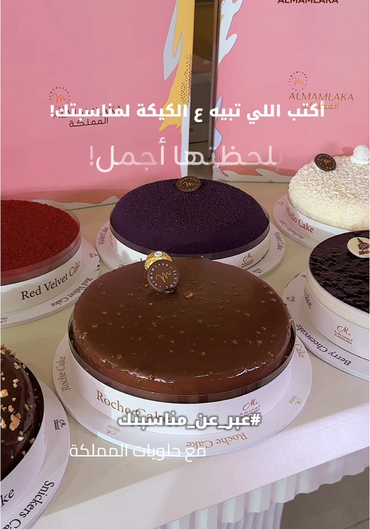 عبر عن مناسبتك، بلحظتها أجمل! #حلويات_المملكة #حلويات_المملكة🧡 #جديد_حلويات_المملكة🤩 #تشوكليت #كيكة_الشكولاته #ضيافة 