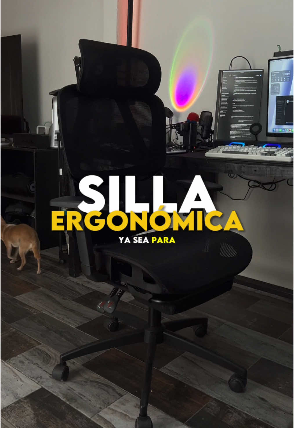 Maravilla de silla gamer. #silla #sillagamer #silladeoficina #tech #tutorial #vamostiktokshop 
