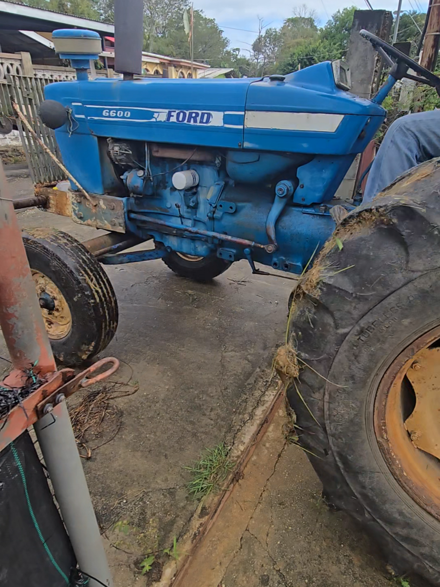 Simple and easy we do things  #nutricultureTT #fyp #trinidad #tractor #farmer #youthfarmer #ford #caribbeantiktok 