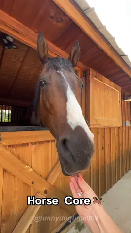 Horse core 🐎#house #funny #funnyhouse #animals #funnyanimals #fypシ #foryou #pets #funnyvideos 
