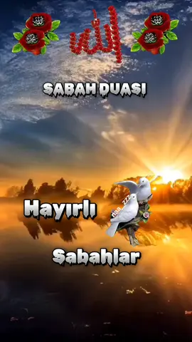 #bismillahirrahmanirrahim🕋🕋🇹🇷🇹🇷 #alla #humme #sallalin #ala #seyyidina #muhammedmustafa #sav #kuranıkerim🕋🕊🕋 #mekkemedine #🕋🤲🏼🕋🤲🏼🕋🤲🏼🕋🌹🌹🌹