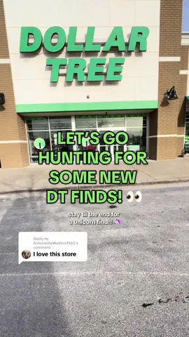 Replying to @AntoinetteWalters1965 another day, another dollar tree! 🌳 #dollartree #dollartreefinds #dollartreehaul #dollartreeshopping  #dollartreebeauty #fypp 