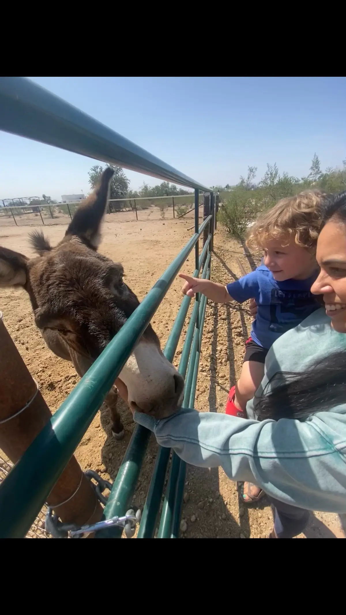 Three of my favorites!! #donkey #farmlife  #wife  #nephew #cowboy 