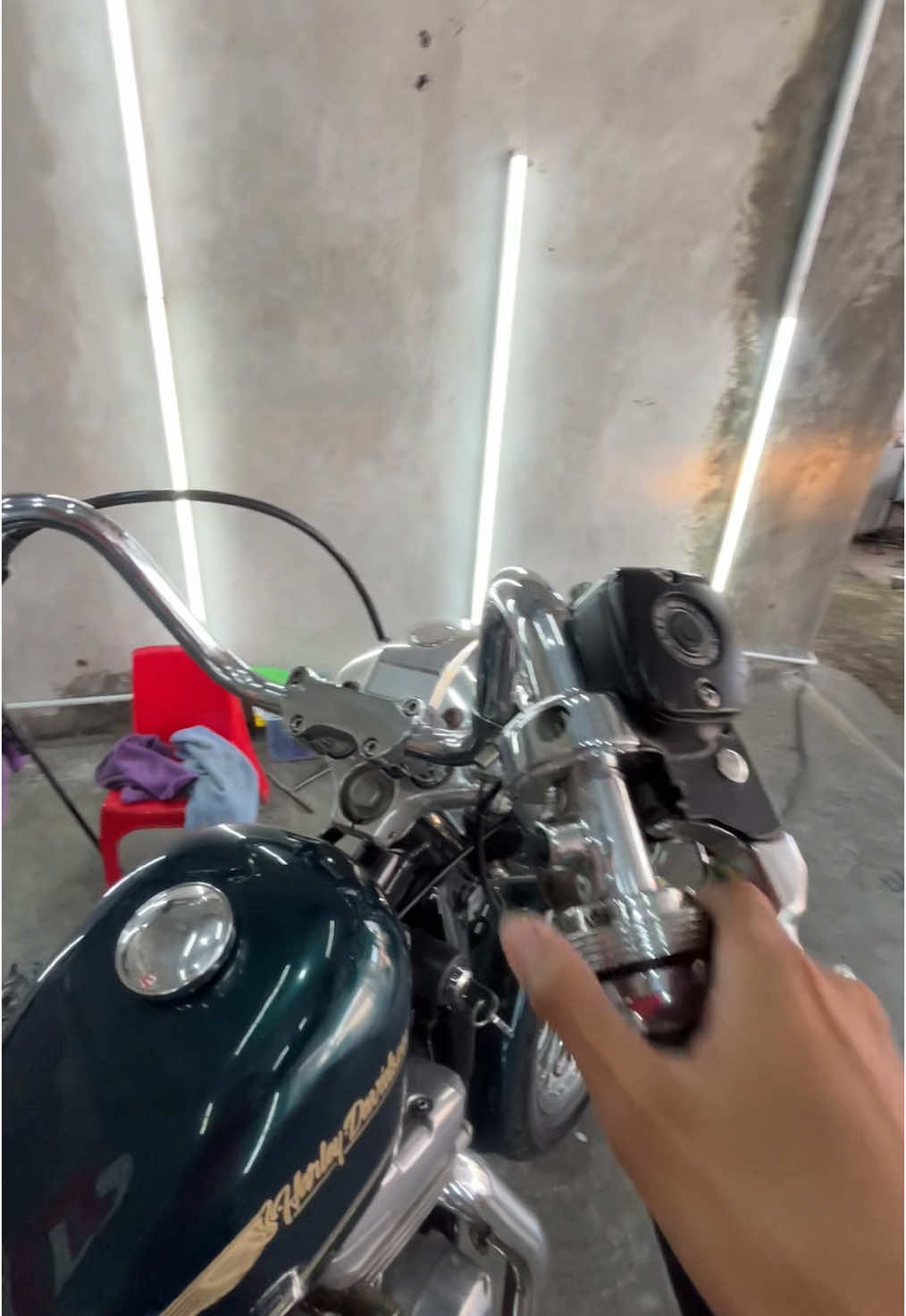 morning view⚡️ #harleydavidson #sportster #sportster883 