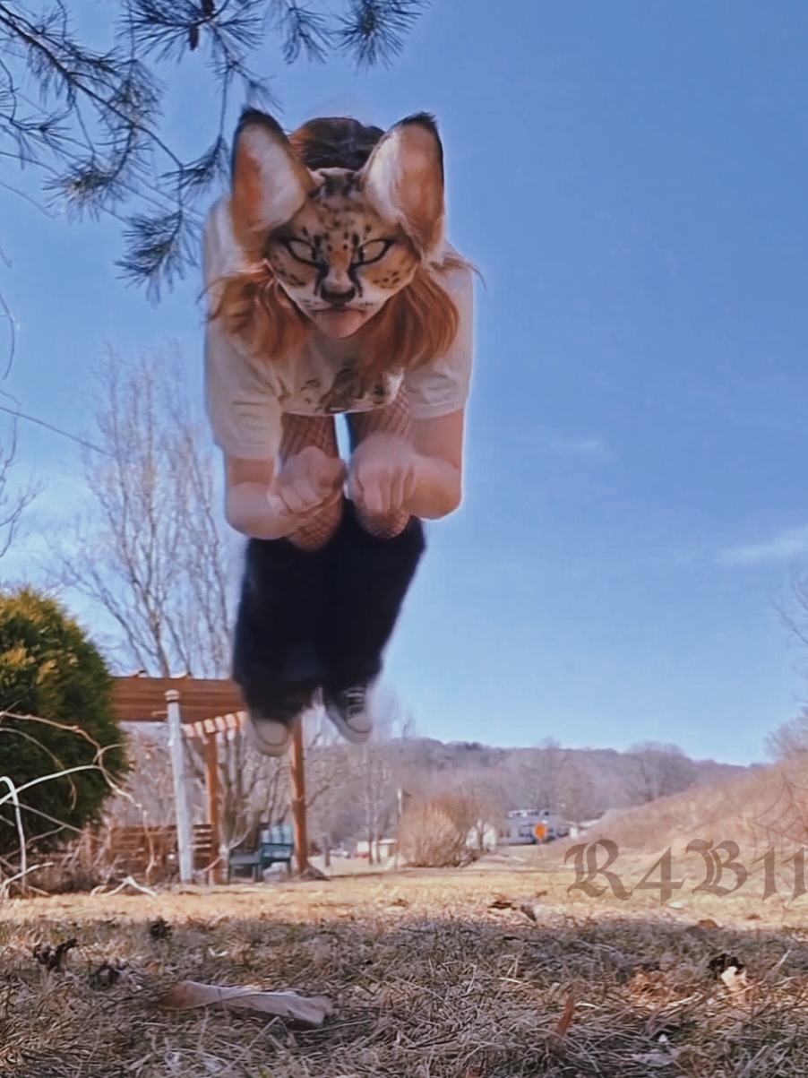 Meoooww~ PLS DONT FLOPPPP!!  . . . . tags ~ #boost #fyp #therian #r4b11d #akiclaws #aki #servals #quadrobics 