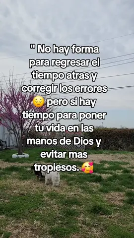 poner todo en las manos de Dios es lo mejor que podemos hacer.  #Noterindas #Diosteama🥰 #alabaaDios🙏🙏 