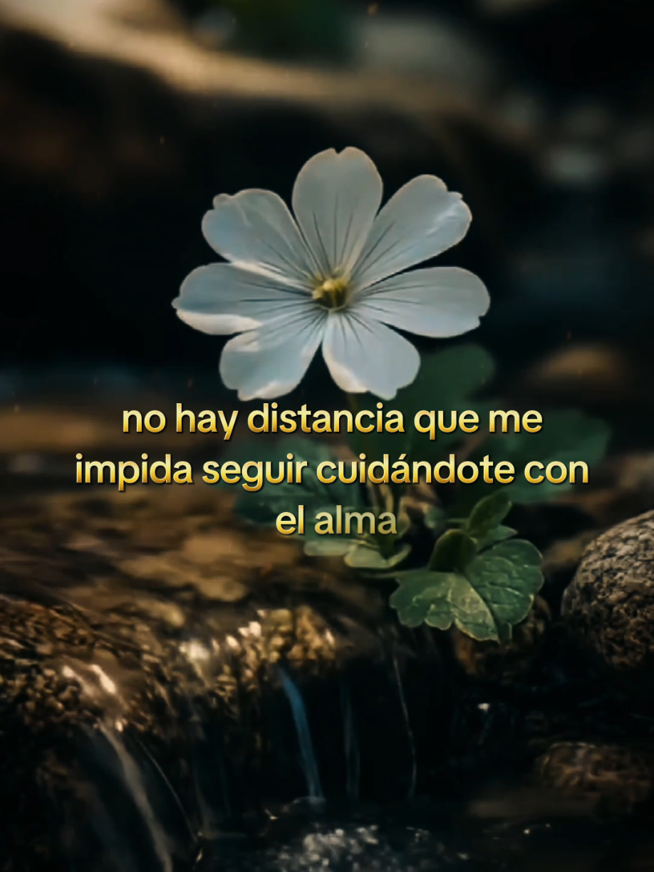 aunque estés lejos..#buenasnoches #dedicatorias #frasesbonitas #buenosdias 
