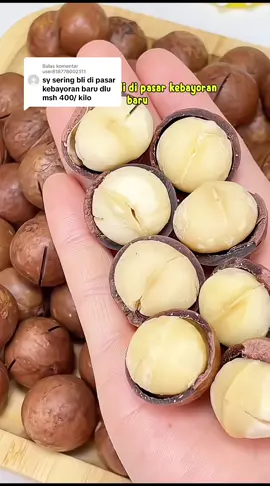 Membalas @user818778002511 kacang macadamia panggang ini enak banget guys rasanya milky renyah gurih #macadamia #macadamianuts #kacangmacadamia #kacangmacadamiaviral #CerealCerdik 
