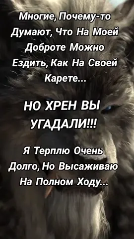 #стерва20 