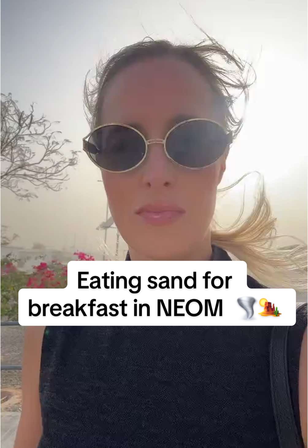 Well I haven’t seen a sand storm in a while, it was fun 😆🤯 #neom #saudiarabia #fyp #storm #weatherupdate #sand 