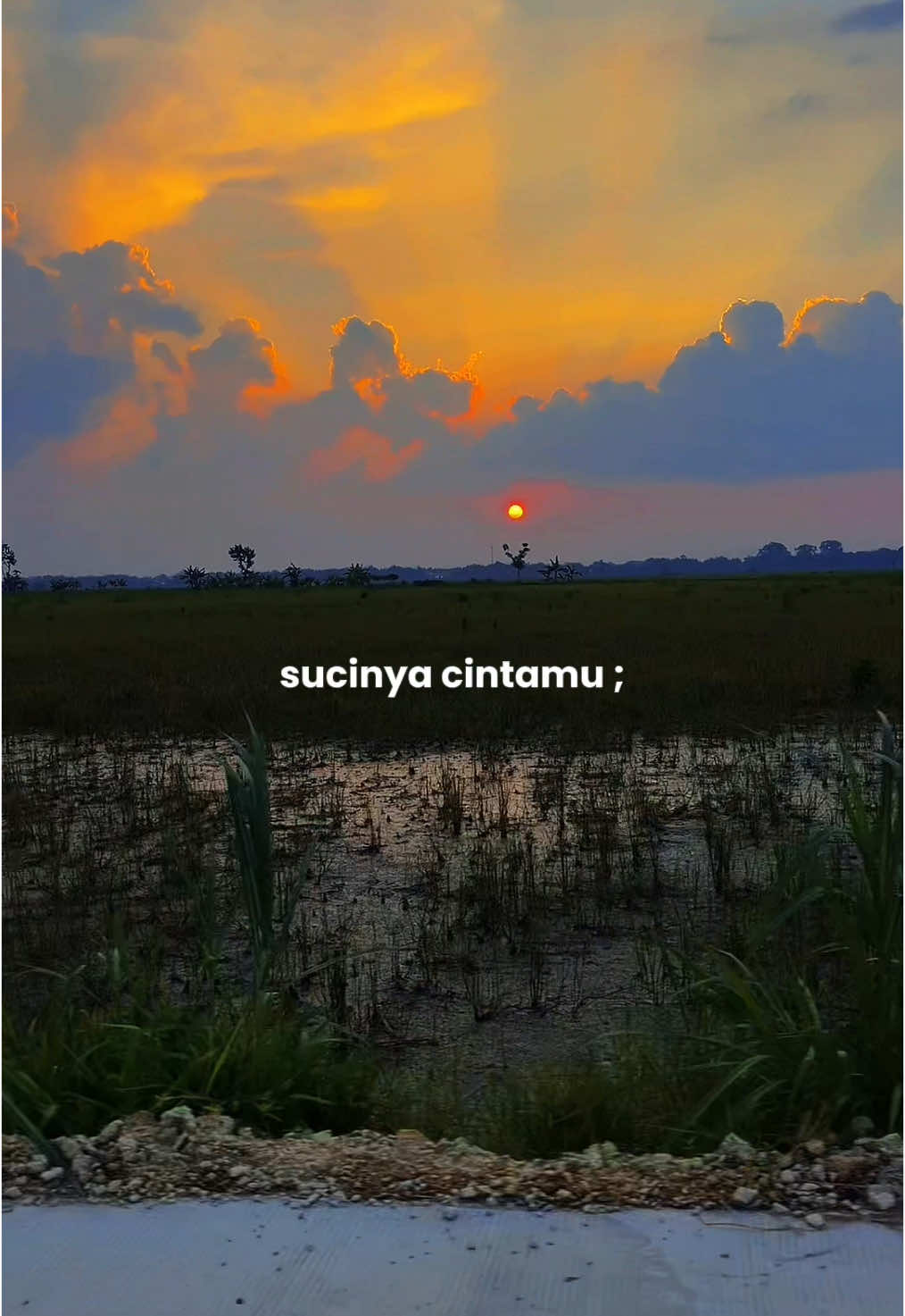 Rindunya hatiku #CapCut #rindunyahatiku #lirik #virall #gomusikindo #fyp #trending #koplo 