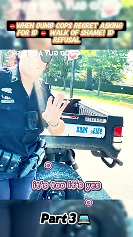 #fyp #foryou #policeofficer #police #audit 