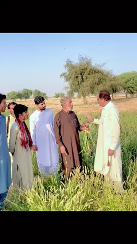 Visiting Lehson crops #_mir_passand_khan_pandrani #Mir_mazhar_khan_pandrani 
