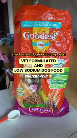 Just finished 2 sacks of 20kg GOODEST DOG FOOD and so far so good! Healthy naman ang aking pets 💗 #goodest #dogfood #drykibble #lowsodium #healthydog #petnutrition #dogmealprep #vetformulated @Goodest PH 