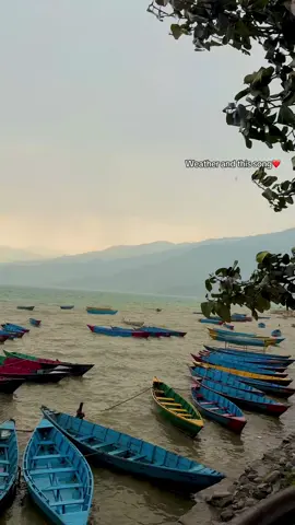 Every drop tells a story…..🌧️❤️ #fewalake_pokhara #rainyday #lake #peace #fyp #nature #tiktok #nepal 