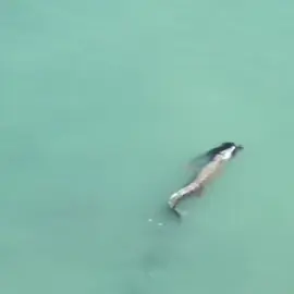 THEY WARNED NOT TO GET INTO THE WATER AND THE CROCODILE ATTACKS HIM.#trending #trending #viral #fyppppppppppppppppppppppp #fypp 