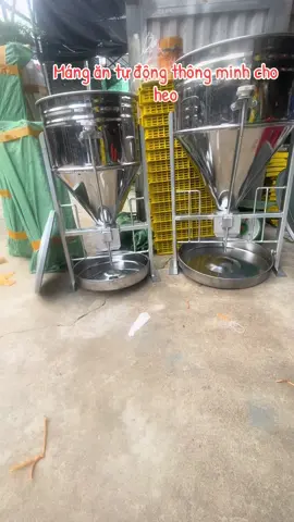 Máng ăn tự động cho heo 1 và 2 bao cám chất liệu inox 430 U kẽm #xuhuong #channuoi #channuoiheo #dungcutienich #dungcuchannuoi #dungcuchannuoiheo 