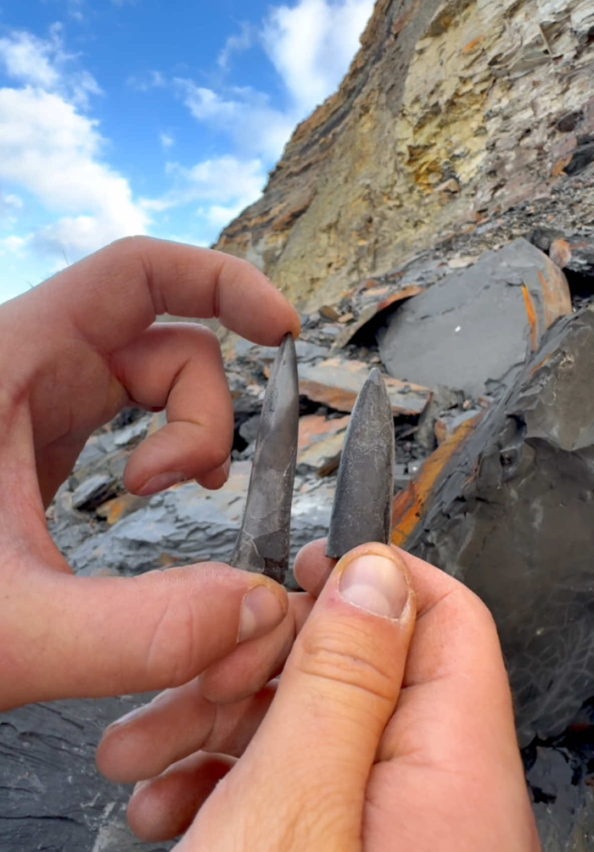 We came across a HUGE fresh shale landslide! 🏝️ Amongst it, we found these fossils! 😍 These 185 Million Year Old Jurassic specimens were so exciting to find, we are so pleased with them! 🌅  We found TWO calcified Belemnites (Squid-like creature) which we were lucky enough to find! 😍🦑🏝🌊 These fossils often get mistaken for fossil teeth! 🦷🐊 #natural #nature #fossil #fossils #ancient #animals #art #ammonite #ammonites #dinosaur #scientist  #minerals #paleontology #whitby #geologist #dorset #geology #charmouth #jurassic #yorkshire #fyp 
