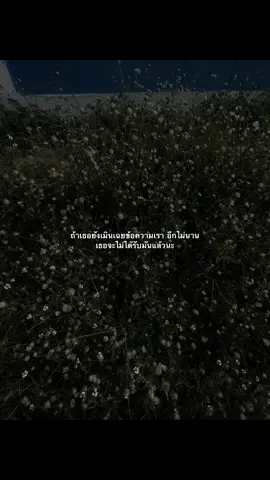 เหนื่อยแล้ว#เธรดความรู้สึก #ฟีดดดシ #fypシ゚ 