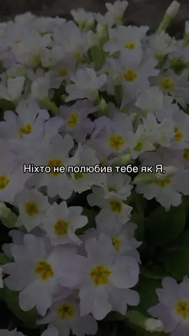 Ніхто не полюбив тебе, як Я… #музика #пісні #християнство #бог 