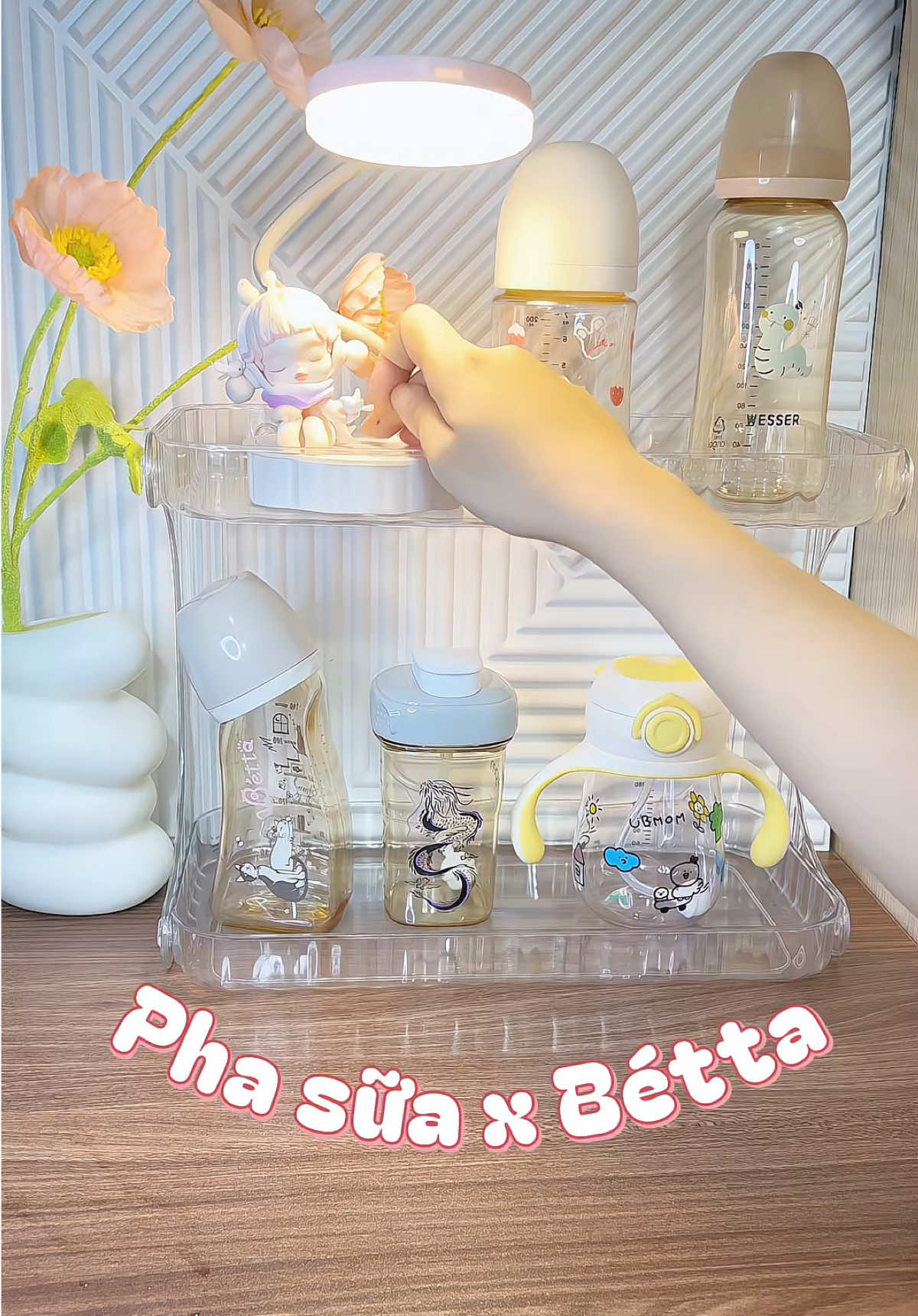 Nghe đồn hãng sắp tiệt chủng Bétta Mèo nên dạo này ẻm h..o..t rần rần, giờ gả em đi đc ko ta 😂 #Betta #binhsua🍼 #phasuachobe 
