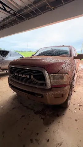 Feliz no simples! #ram #hilux #agro #pecuaria #fazenda 