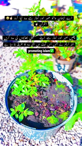 چلیں  نماز  سے  مدد  لیں  اللہ  کی  فلسطین  کے  لئے😭☝🏻🥰#foryoupage #viral #Trending #creatorsearchinsights #qurani ayat tarjima #Islam#Allah 