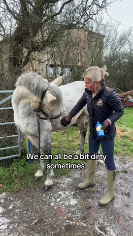 We all can! #fyp #equestrian #horsegirl #blonde #riding #horse #farm 