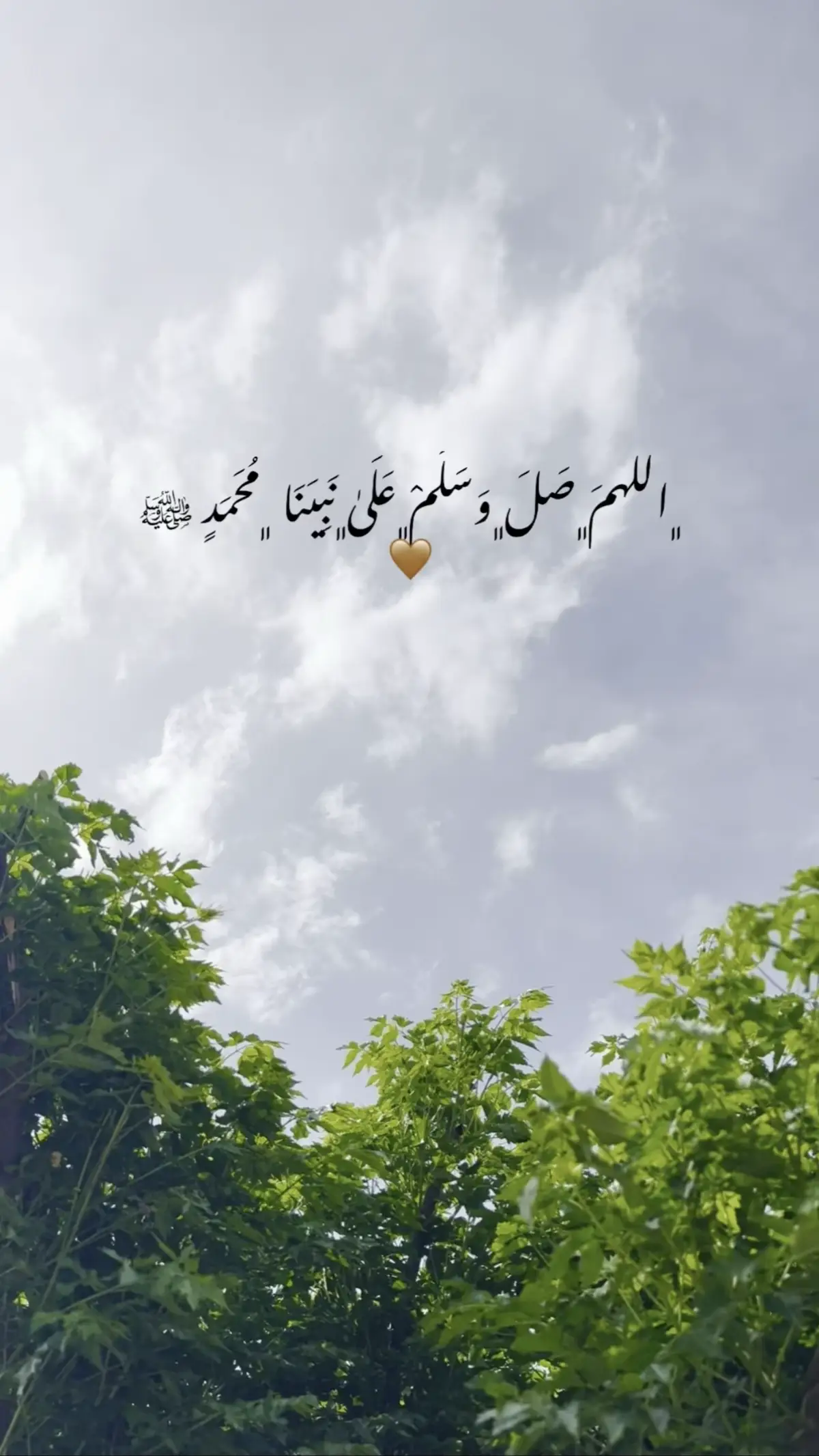 #صلي_علي_النبي #صلي_الله_عليه_وسلم 🤎🤲🏻