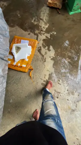không biết gì nha 🤷#xuhuongtiktok #xuhuongtiktok2025 #wave125i_ไฟเลี้ยวบังลม 