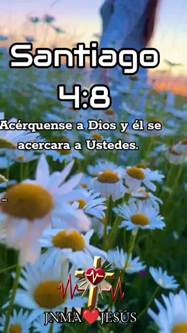 Este versículo anima a buscar la intimidad con Dios. Significa que si nos acercamos a Dios, él se acercará a nosotros.  En este versículo, la Biblia también llama a los pecadores a limpiarse las manos y a los de doble ánimo a purificar sus corazones. Esto puede significar reconocer sus miserias, lamentar sus pecados y humillarse delante del Señor. #reflexiones #reflexion #oraciondelamañana #cristovive #jesus #Dios #espiritosanto #rescatados #biblia #palabradedios #testimonio #esperanza #fé #amor #esperanza #perdon #estudialabiblia 