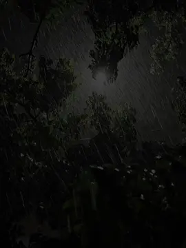 I Love Rainy Days..🥹🌧️❤️‍🩹#rainlove #favorite #weather #viral #viralvideo #song #foryou #foryoupage 