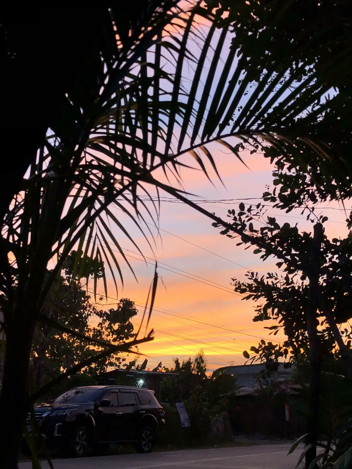 Free photos to save #sunset #views #fyp 