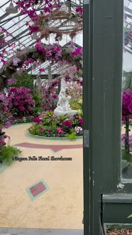 The orchid showcase is in full bloom!  Admission is only $8!  More photos on my Instagram ;) @westfloralworks  #floral #florist #niagarafalls #niagarafallscanada #floralshowcase #thingstodoinniagara #orchids #orchid #orchidlovers #sopretty #pink 