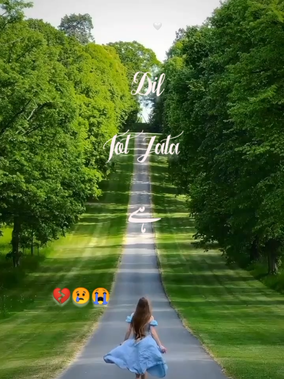 Oye Raju Pyar Na kario😢😭💔😢😥#statusvideo #sadstatus#1M #whatsappstatus #viralvideo #viral_video #trendingvideo #Foryou #1M #trendingvideo #foryou 